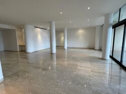 The Colonnade (D10), Condominium #460175461